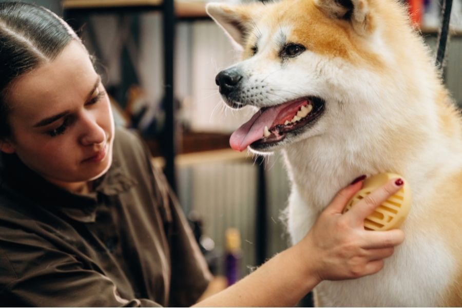 Full dog grooming